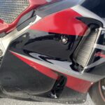 隼と共に転んだ日